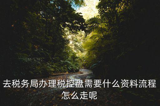 稅盤(pán)升級(jí)需要什么資料，開(kāi)票軟件升級(jí)培訓(xùn)都需要帶那些資料