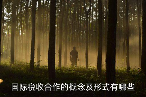 國際稅源是什么意思，國際稅收合作的概念及形式有哪些