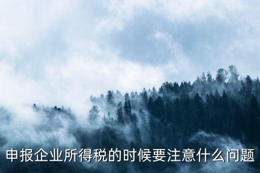 年度企業(yè)所得稅申報(bào)注意什么，申報(bào)企業(yè)所得稅的時候要注意什么問題