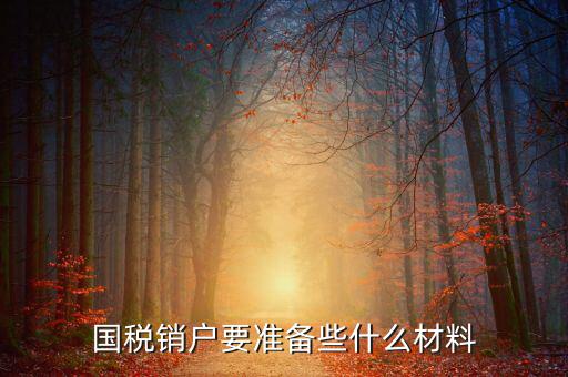 去國(guó)稅銷戶需要帶什么資料，國(guó)稅注銷需要哪些材料
