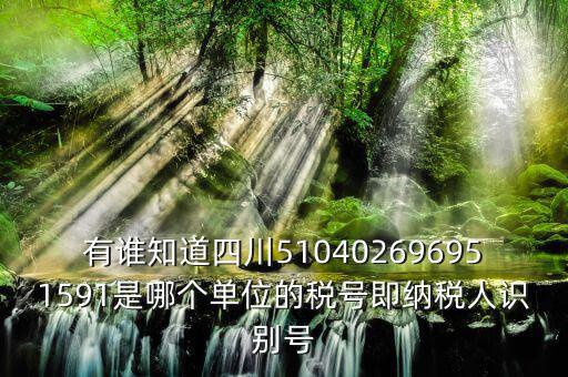 四川國(guó)稅廳帳號(hào)是什么，有誰(shuí)知道四川510402696951591是哪個(gè)單位的稅號(hào)即納稅人識(shí)別號(hào)