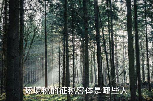 環(huán)保稅納稅人的什么意思，環(huán)境稅是什么意思