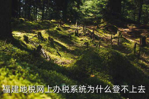 企業(yè)所得稅系統(tǒng)為什么登不上，福建地稅網(wǎng)上辦稅系統(tǒng)為什么登不上去