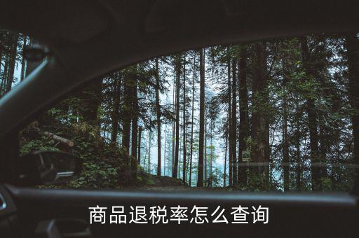 用什么查出口退稅率，查詢(xún)出口退稅率