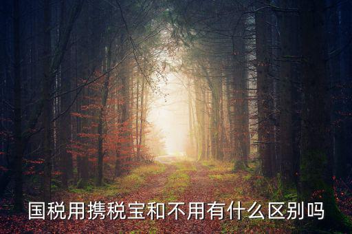 稅寶是什么，國(guó)稅用攜稅寶和不用有什么區(qū)別嗎