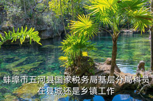 懷遠(yuǎn)稅務(wù)局在什么地方，蚌埠市五河縣國(guó)家稅務(wù)局基層分局科員在縣城還是鄉(xiāng)鎮(zhèn)工作