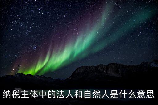 稅務(wù)局自然人綁定是什么意思，納稅主體中的法人和自然人是什么意思