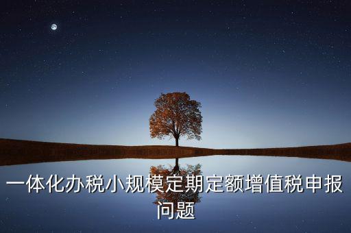 非定期定額戶申報是什么意思，一體化辦稅小規(guī)模定期定額增值稅申報問題