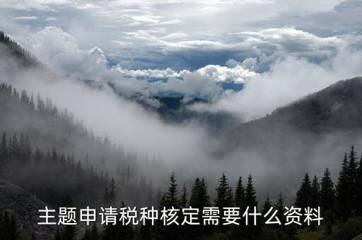 國稅網(wǎng)上核定票種需要什么資料，剛拿到營業(yè)執(zhí)照下一步去稅務(wù)局核定稅種需要帶哪些資料