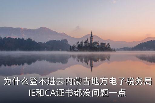 為什么電子稅務(wù)局登錄不了，山西省電子稅務(wù)局在電腦上登陸不上為啥呢