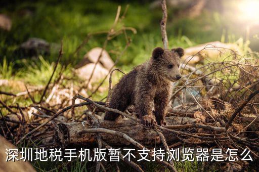 深圳國稅網(wǎng)站用什么瀏覽器打開，國稅網(wǎng)為什么看不到增值稅申報(bào)表平時(shí)一打開這個(gè)頁面就可以點(diǎn)擊看