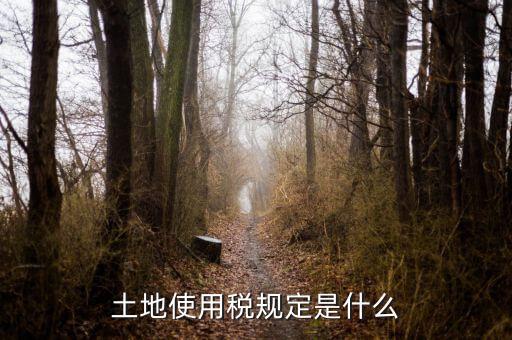 大宗商品土地使用稅指什么，土地使用稅