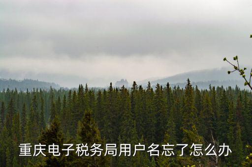重慶電子稅務(wù)局的網(wǎng)址是什么意思，重慶市國稅電子申報委托繳稅的網(wǎng)址