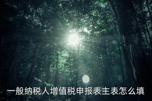 一般納稅人主表是什么，一般納稅人增值稅申報(bào)表主表怎么填