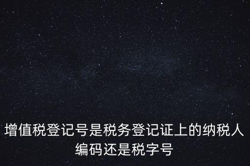 一般納稅人登記編號是什么，納稅人編號是什么