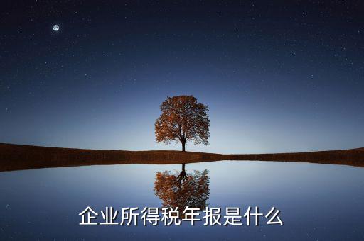 企業(yè)所得稅年度申報(bào)有什么用，企業(yè)所得稅按季申報(bào)和年度申報(bào)有什么區(qū)別