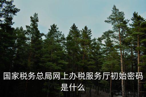 國稅申報默認密碼是什么意思，國家稅務(wù)總局網(wǎng)上辦稅服務(wù)廳初始密碼是什么