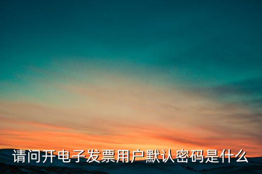 重慶國(guó)稅電子發(fā)票登錄密碼是什么意思，國(guó)稅局發(fā)票軟件里用戶代碼和密碼是什么