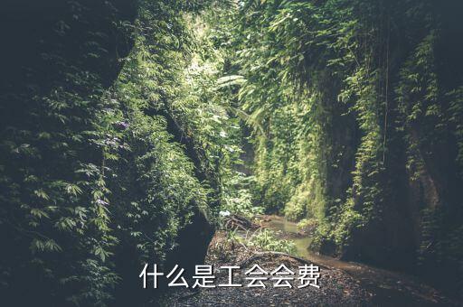 什么企業(yè)交工會(huì)經(jīng)費(fèi)，繳工會(huì)經(jīng)費(fèi)的依據(jù)是什么