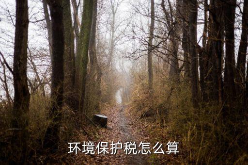 環(huán)保稅以什么為標準繳納，你認為汽車環(huán)保稅應該如何征收 具體點 謝謝