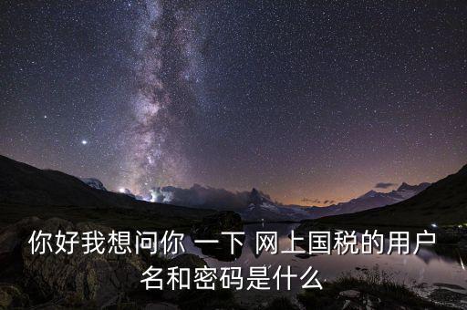 網(wǎng)上稅務(wù)辦理密碼是什么意思，國(guó)稅第一次網(wǎng)上申報(bào)的登陸密碼是什么