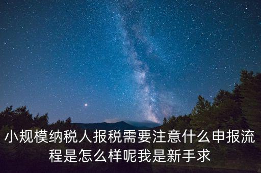 報稅需要注意什么手續(xù)，一般納稅人每個月怎么報稅報稅時要注意什么流程是怎么樣的