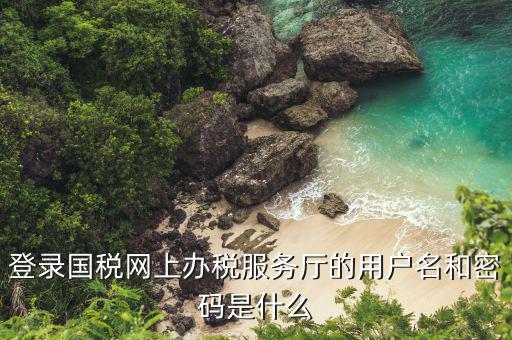 河北省地稅登陸的用戶名是什么，登錄國稅網(wǎng)上辦稅服務(wù)廳的用戶名和密碼是什么