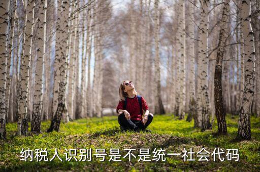 納稅人識別號 統(tǒng)一社會代碼是什么，納稅人識別號就是統(tǒng)一社會信用代碼嗎