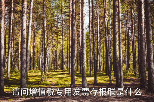 發(fā)票存根聯(lián)是什么，發(fā)票存根聯(lián)是按發(fā)票購領本上領購的本數裝訂還是25張裝訂一冊