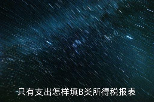 個(gè)人生產(chǎn)經(jīng)營(yíng)所得B表稅金填什么，只有支出怎樣填B類(lèi)所得稅報(bào)表