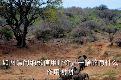 申請納稅信用復(fù)評需要什么資料，納稅信用評價(jià)的基本規(guī)范要求包括什么