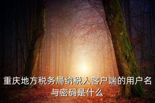 重慶國稅電子發(fā)票登錄密碼是什么，國稅局發(fā)票軟件里用戶代碼和密碼是什么