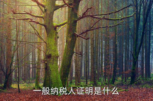 什么可以證明是一般納稅人，什么叫一般納稅人我如何辨別自己公司是否是一般納稅人