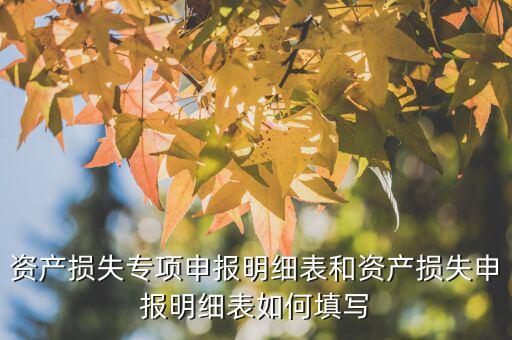 什么是專項資產(chǎn)損失申報表，所得稅申報表怎么填22資產(chǎn)損失