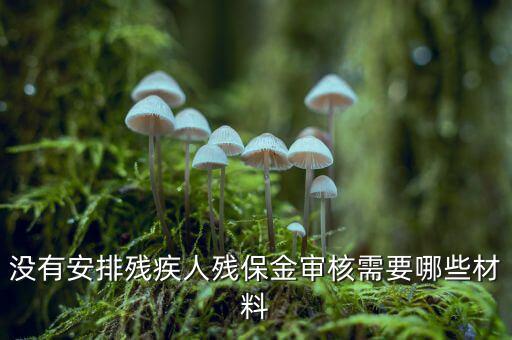 福建殘保金備案需要什么資料，求助2012年殘保金申請(qǐng)流程