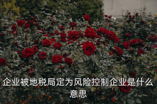 稅收風險控制是什么，稅務風險管理的稅務風險管理制度