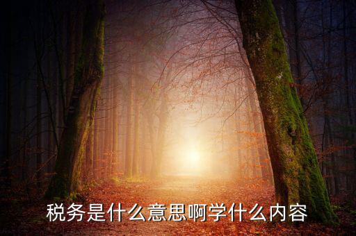 稅務(wù)中介是什么，稅務(wù)師事務(wù)所屬于什么行業(yè)