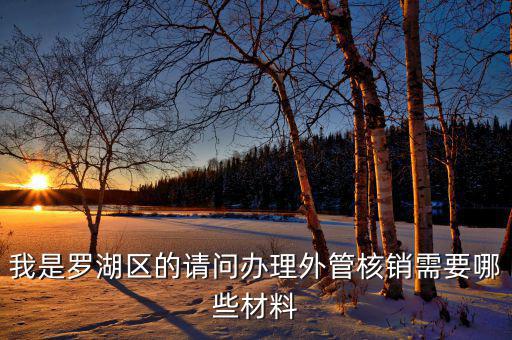 深圳外經(jīng)證核銷需要什么資料，我是羅湖區(qū)的請問辦理外管核銷需要哪些材料