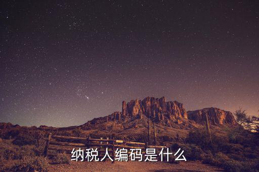 納稅人國稅編碼是什么意思，納稅人編碼是什么