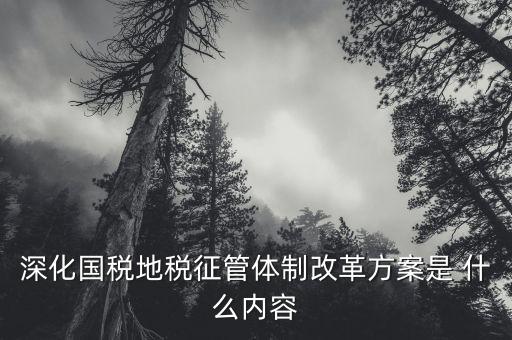 改革國(guó)稅地稅征管體制要求什么，改革國(guó)稅地稅征管體制有何意義專家推進(jìn)稅收法治建設(shè)