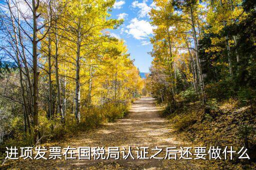 稅務(wù)認定之后做什么，新辦企業(yè)稅務(wù)登記證下來后接下來會計該做些什么工作