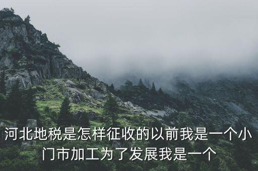 河北省地稅報稅征收方式是什么，河北地稅申報個人所得稅