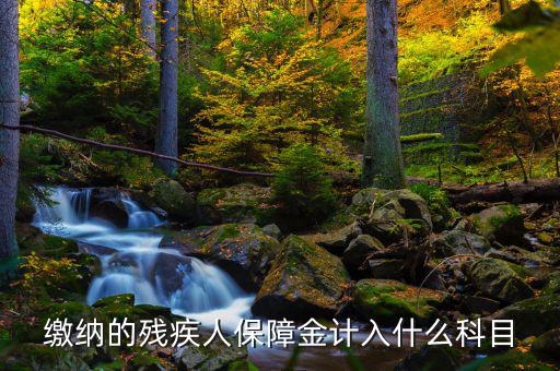 殘疾人就業(yè)保障金稅目是什么，殘疾人就業(yè)保障金應(yīng)計(jì)什么會(huì)計(jì)科目