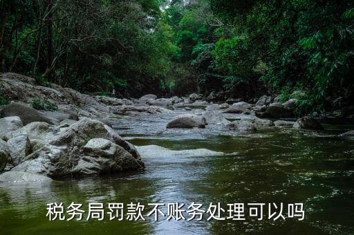 對(duì)稅務(wù)局罰款不公有什么辦法，稅務(wù)局罰款不賬務(wù)處理可以嗎
