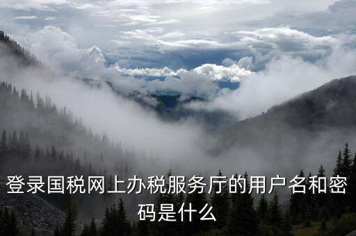 登錄國(guó)稅網(wǎng)上辦稅服務(wù)廳的用戶(hù)名和密碼是什么