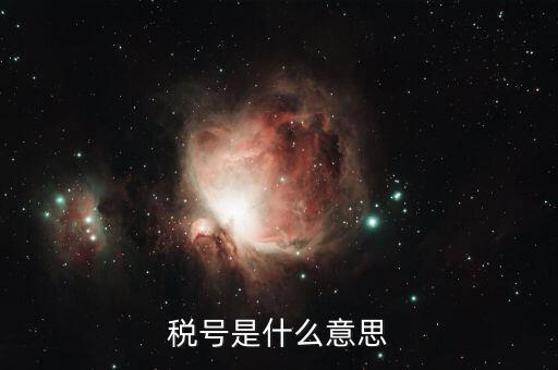 納稅人稅號是什么，什么叫稅號