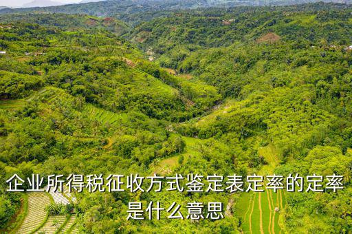 年度企業(yè)所得稅征收鑒定是什么意思，企業(yè)所得稅征收方式鑒定表定率的定率是什么意思