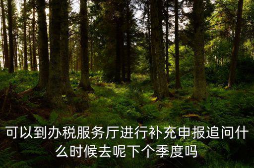 據(jù)實(shí)申報(bào)是按照什么申報(bào)，可以到辦稅服務(wù)廳進(jìn)行補(bǔ)充申報(bào)追問什么時(shí)候去呢下個(gè)季度嗎