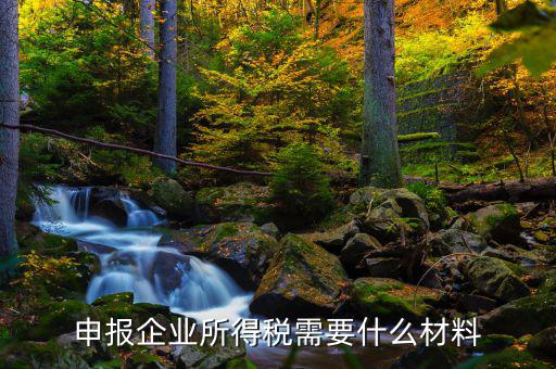 企業(yè)所得稅補(bǔ)申報(bào)需要什么，申報(bào)企業(yè)所得稅需要什么材料