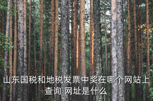 發(fā)票領(lǐng)用什么網(wǎng)站，誰知道發(fā)票兌獎上那個(gè)網(wǎng)站